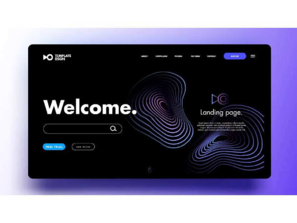 Landing Page Website